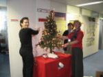 NDS_Christmas_Tree_2010.jpg