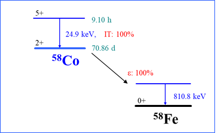 Co58 decay